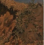 『道路と土手と塀』と同時期の新潟県立近代美術館所蔵の岸田劉生による『冬枯れの道路（原宿附近写生）』 の一部。