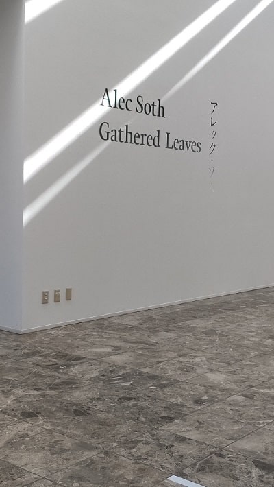 葉山の神奈川県立美術館で開催のアメリカの写真家、アレック・ソス(Alec Soth)の写真の展覧会『Gathered  Leaves』。